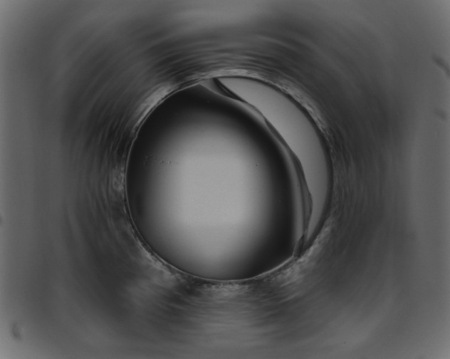 X0000095671193200801221158