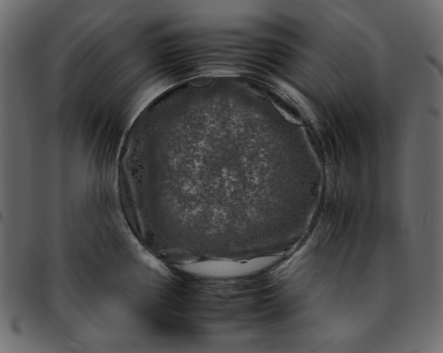 X0000095671194200801221158