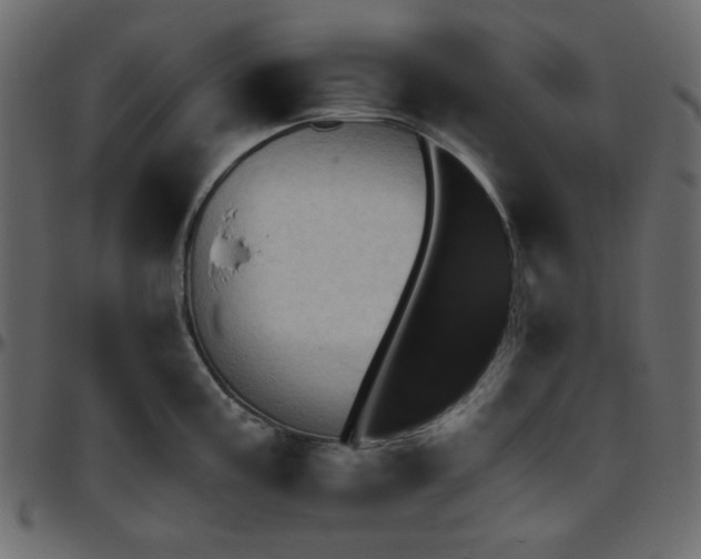 X0000095671195200801221158