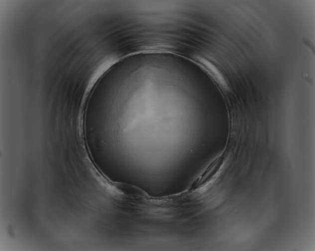 X0000095671196200801221158