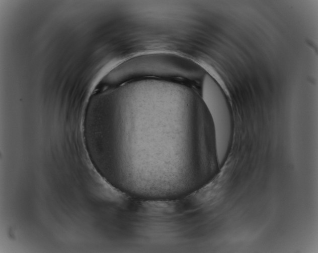 X0000095671197200801221158