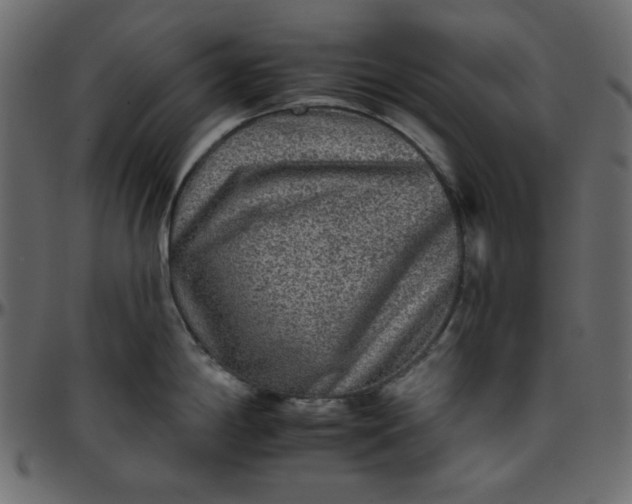 X0000095671198200801221158