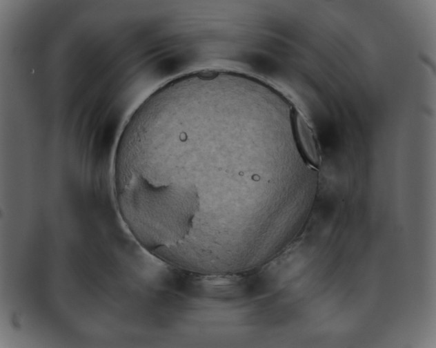 X0000095671199200801221158