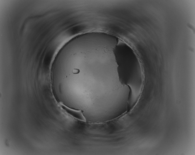 X0000095671200200801221158