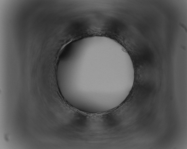 X0000095671201200801221157