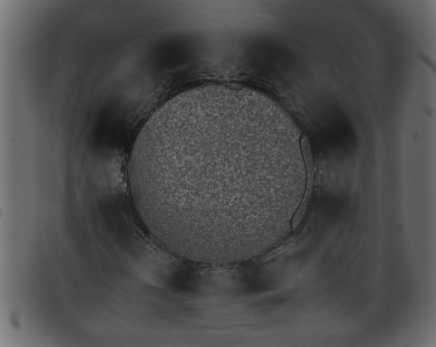 X0000095671202200801221157