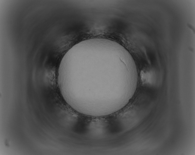 X0000095671203200801221157