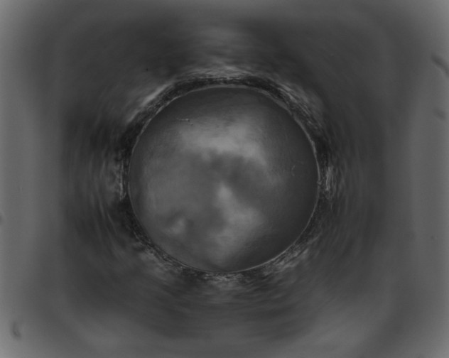 X0000095671205200801221157