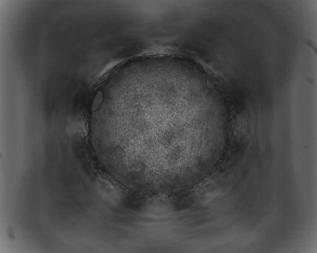 X0000095671206200801221157