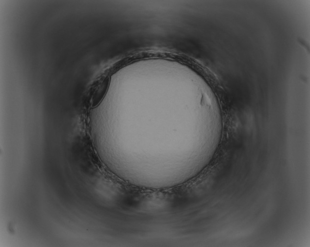 X0000095671207200801221157