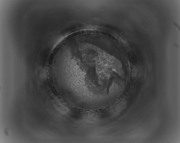 X0000095671208200801221157