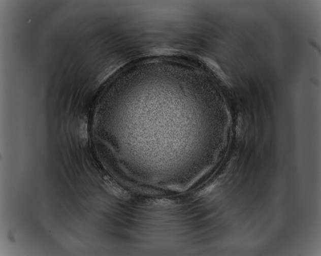 X0000095671209200801221157