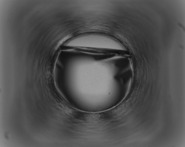 X0000095671210200801221157