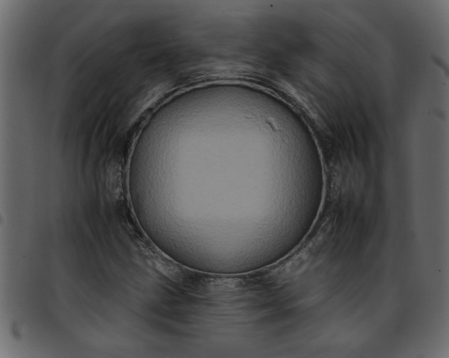 X0000095671211200801221157