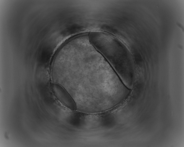 X0000095671212200801221157