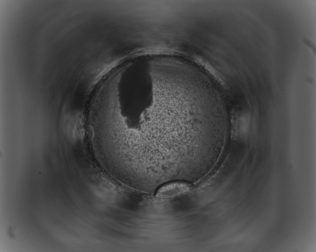 X0000095671213200801221157