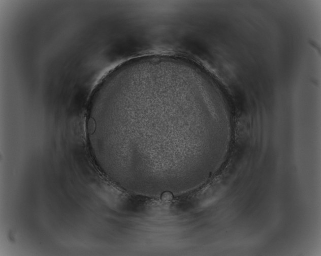 X0000095671214200801221157