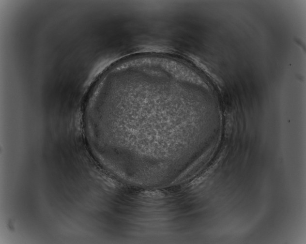 X0000095671215200801221157