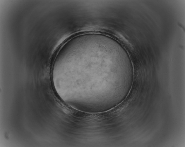 X0000095671216200801221157