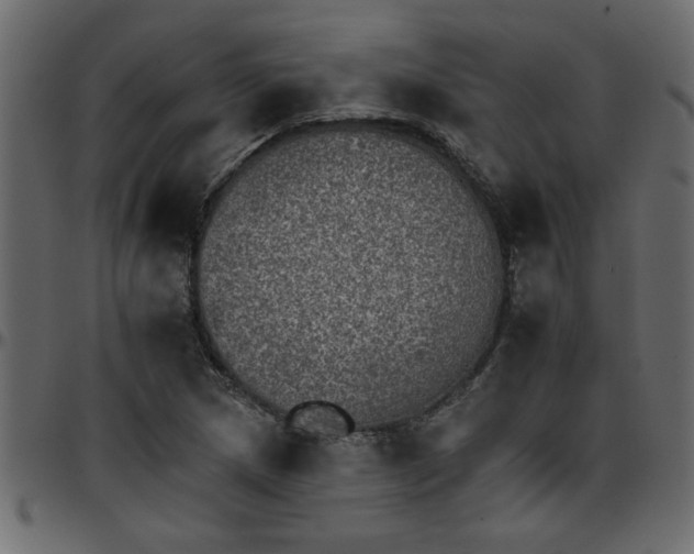 X0000095671217200801221157