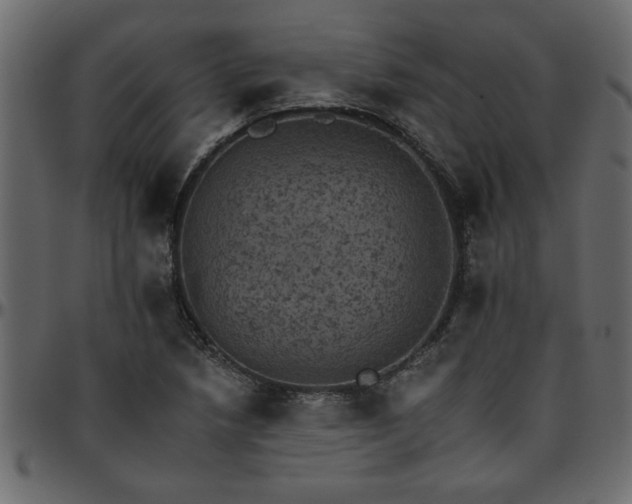 X0000095671218200801221157