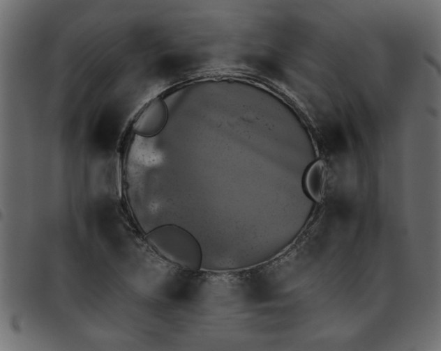 X0000095671219200801221157