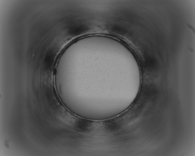 X0000095671220200801221157