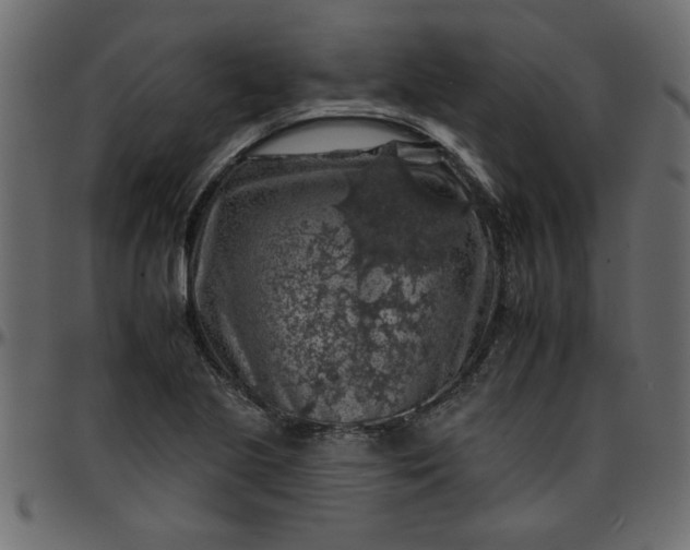 X0000095671221200801221157