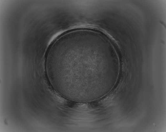 X0000095671222200801221157