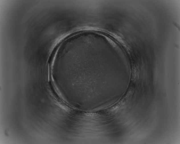 X0000095671223200801221157