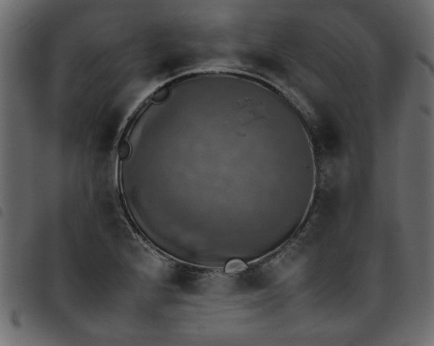 X0000095671224200801221157