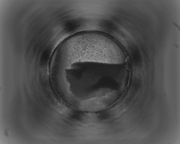 X0000095671226200801221157