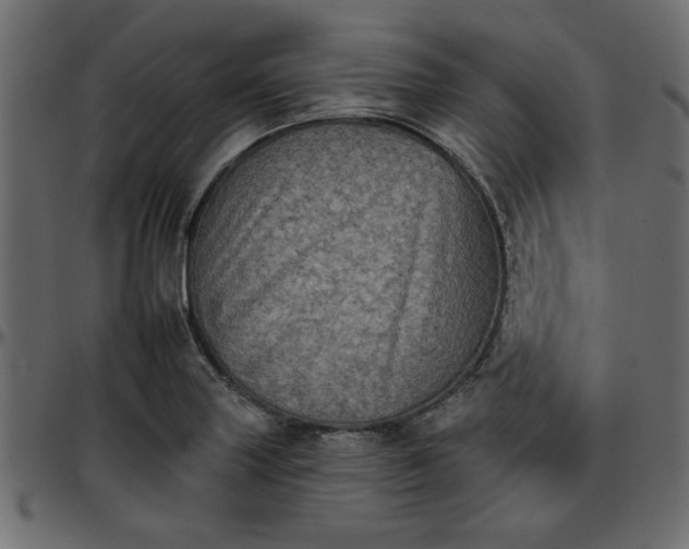 X0000095671227200801221157