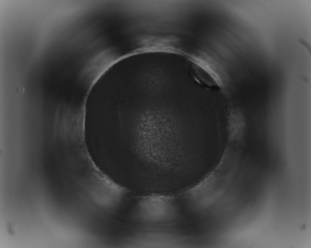 X0000095671228200801221157