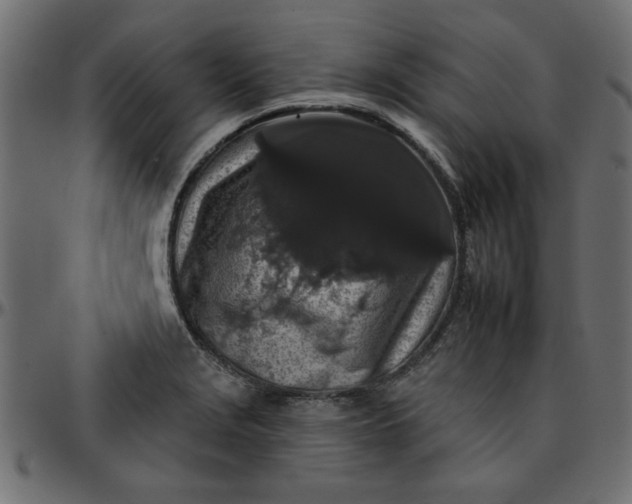 X0000095671229200801221157