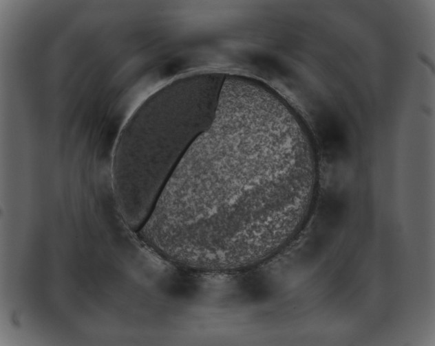 X0000095671230200801221157