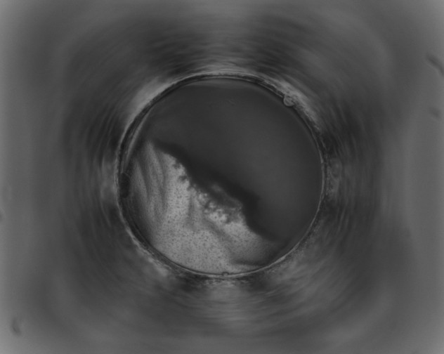 X0000095671231200801221157