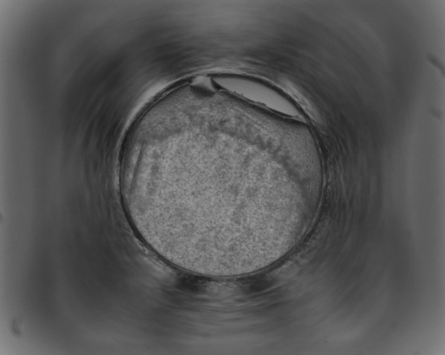 X0000095671232200801221157