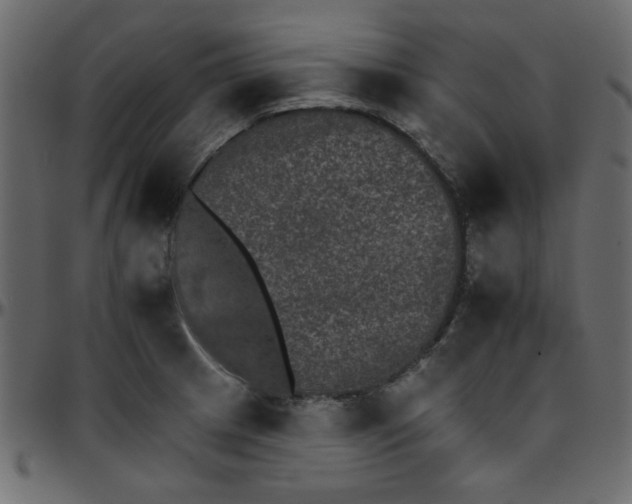 X0000095671233200801221157