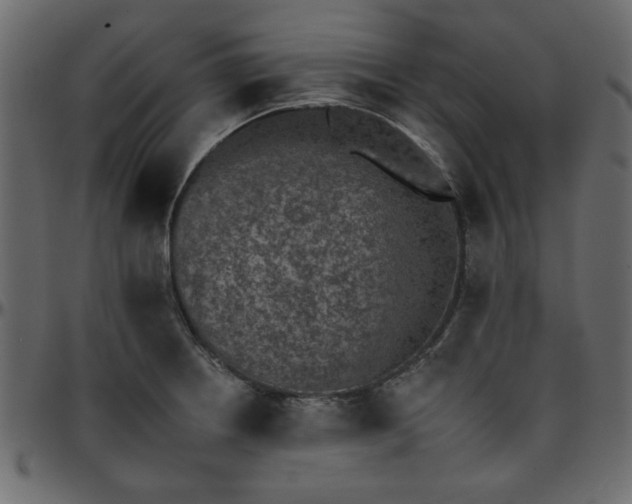 X0000095671234200801221157