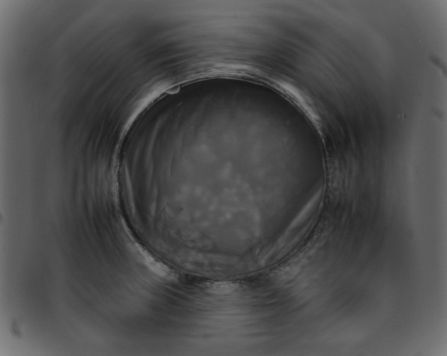 X0000095671235200801221157