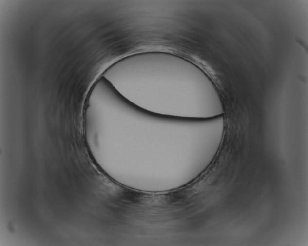 X0000095671236200801221157