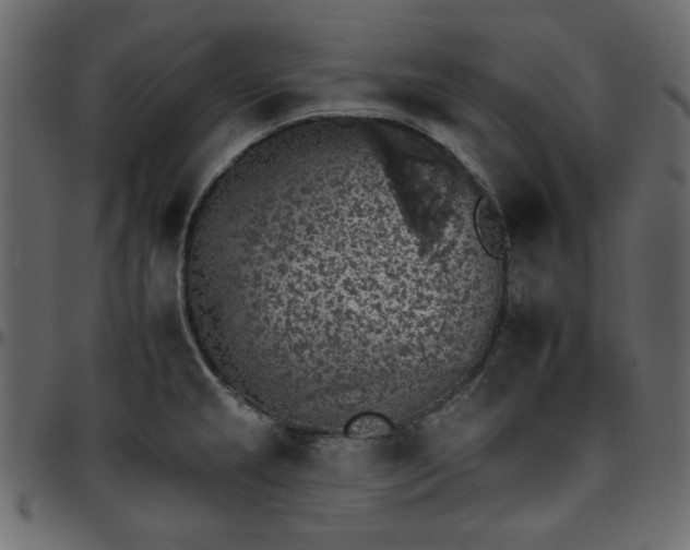 X0000095671237200801221157