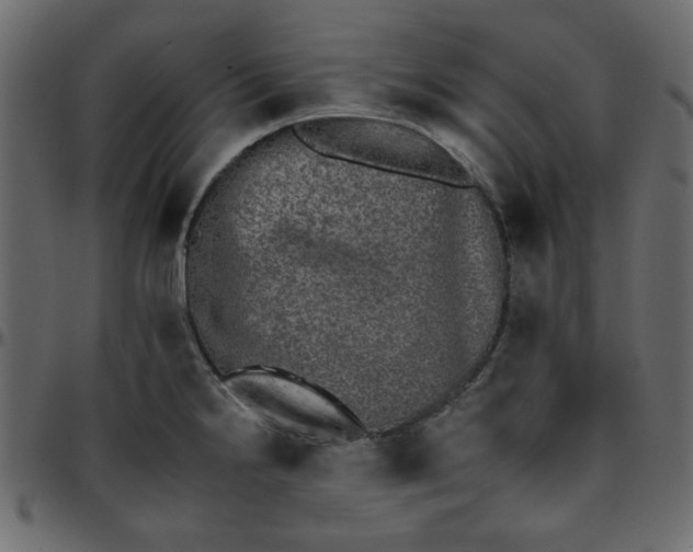 X0000095671238200801221157