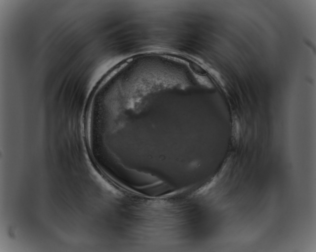 X0000095671239200801221157