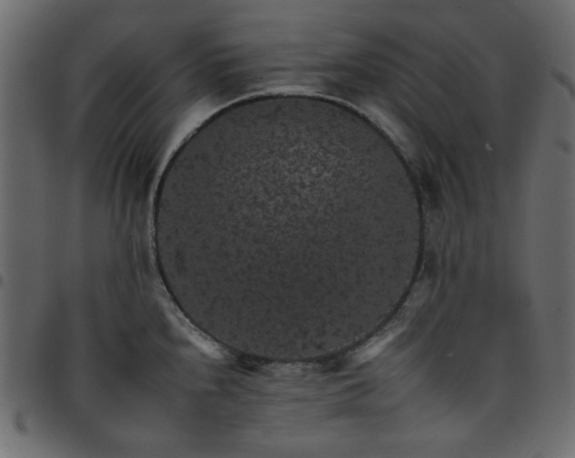 X0000095671240200801221157