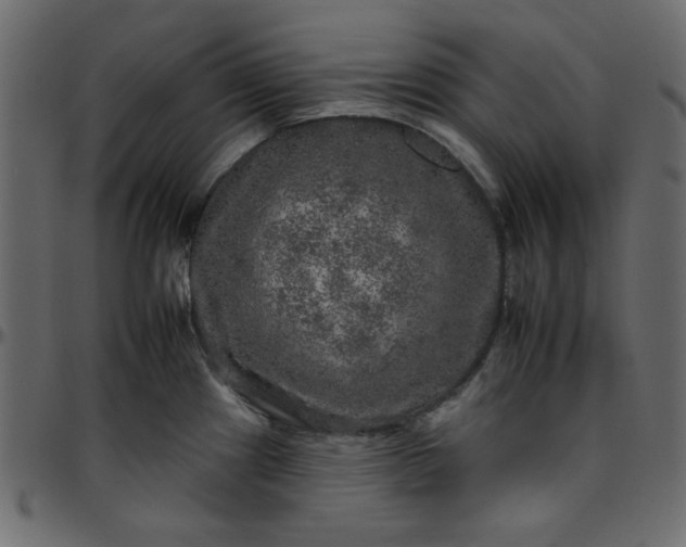 X0000095671241200801221157