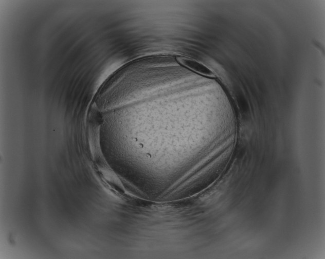 X0000095671242200801221157