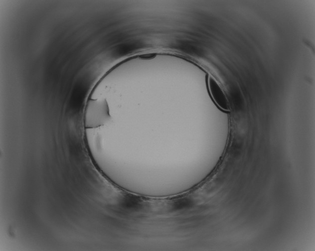 X0000095671244200801221158