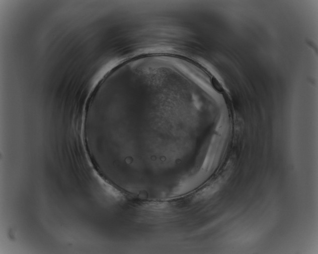 X0000095671245200801221158